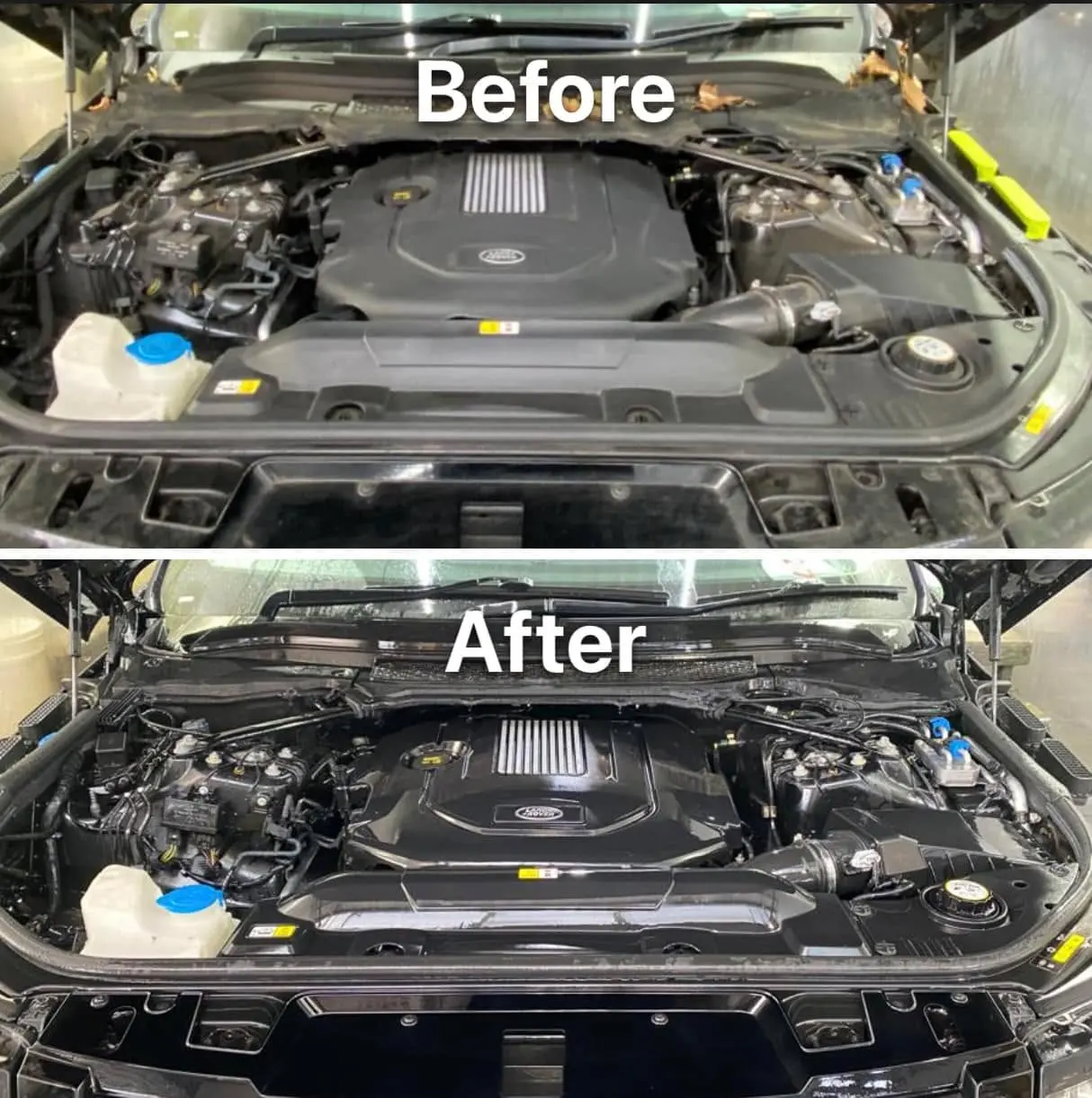 Cleaned engine bay free of grease and grime after professional detailing