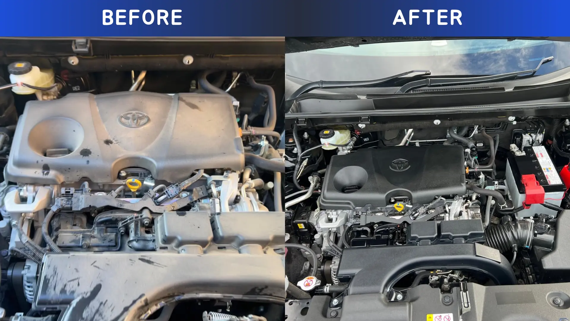 Cleaned engine bay with premium products.